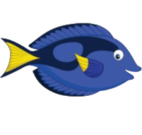 Blue Tang