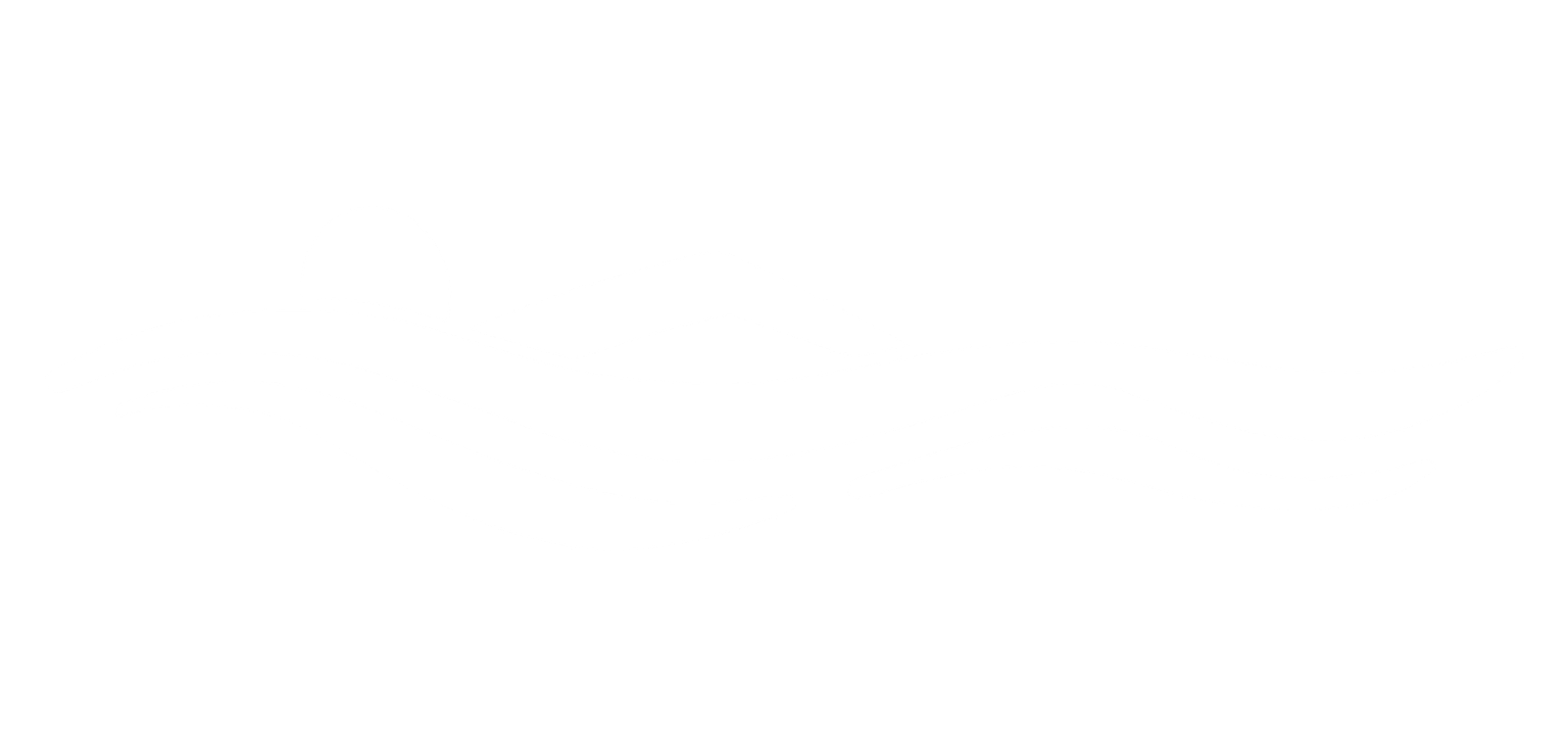 sherriffswim LOGO